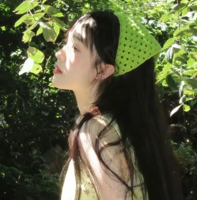 最佳女婿